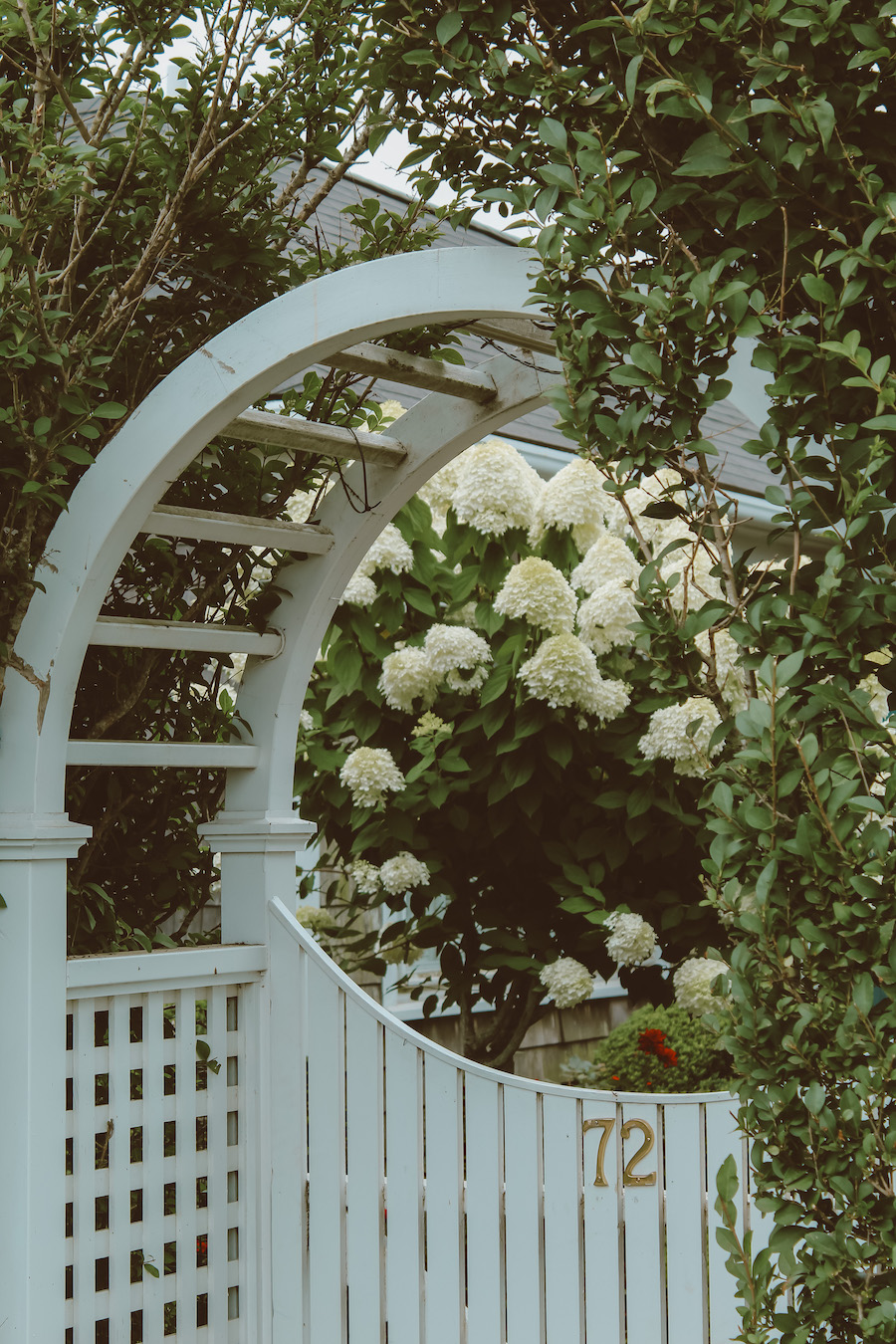 white picket gate and greenery